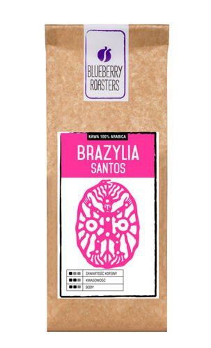 Brazil Santos Arabica 250 g