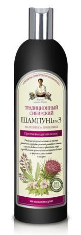 NO 3 SHAMPOO ON THE LIPPOINT PROMESSION AGAINST LOSS OF 600ml